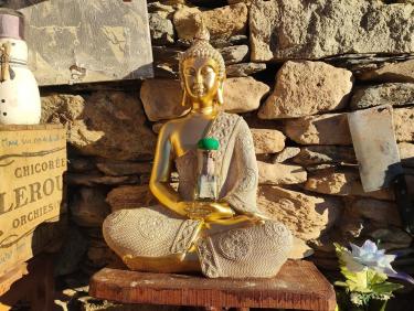 Suivez les vautours ! 