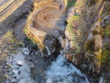 Suivez les vautours ! 