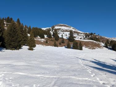 Super (Mont de la Guerre)