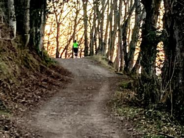 Sur le chemin du retour