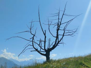 Sur le chemin de la Xalps