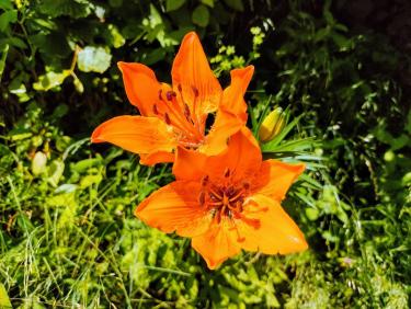 Sur le chemin de la Xalps