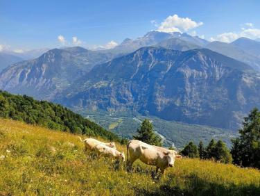 Sur le chemin de la Xalps