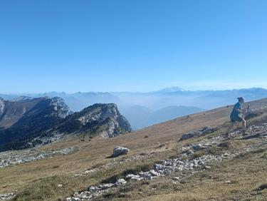 Sur la dent 