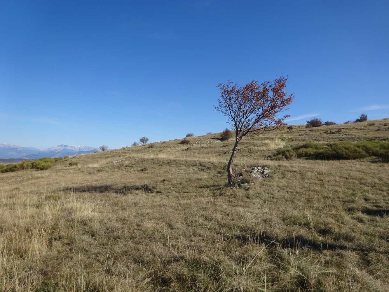 Sur la crÃªte de Chanteduc