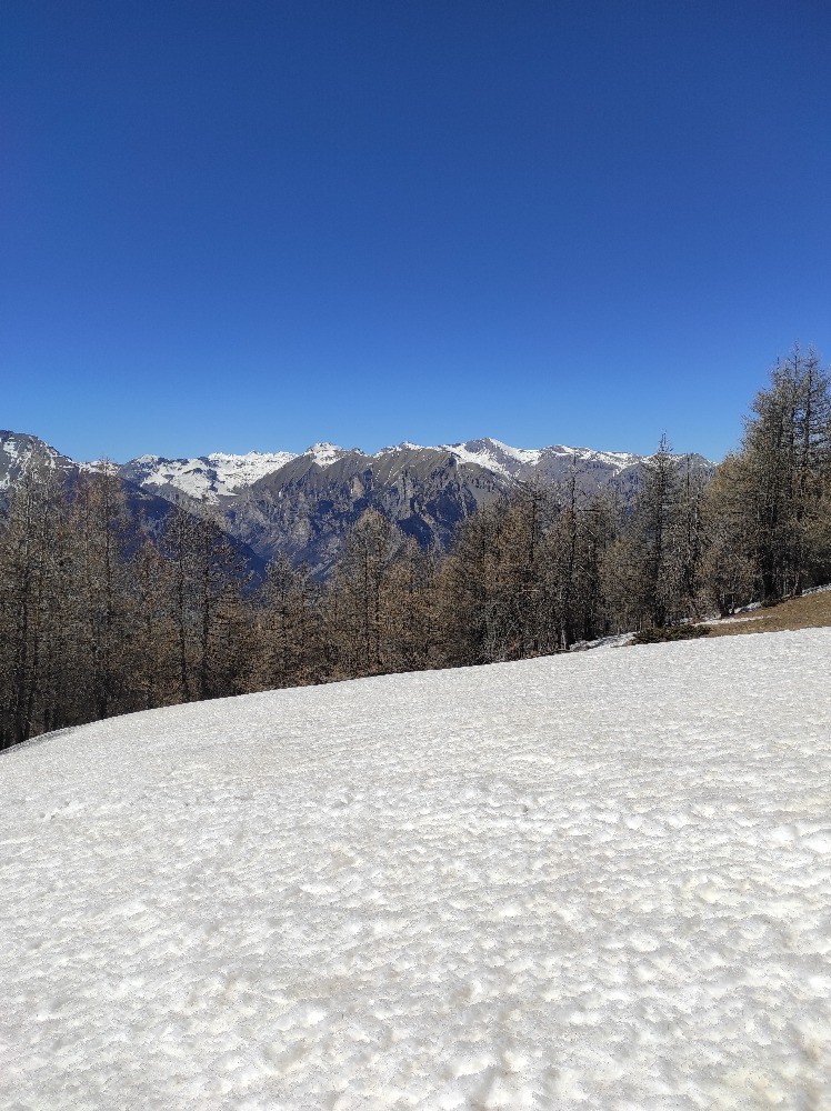 sur la dorsale