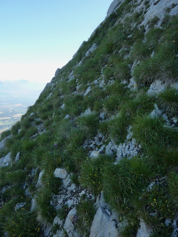 Sur la gauche, toujours dans le mur