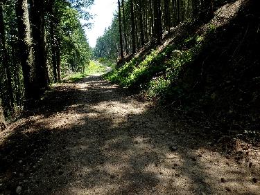 Sur la piste vers le Gallot