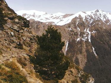 sur la sente en balcon