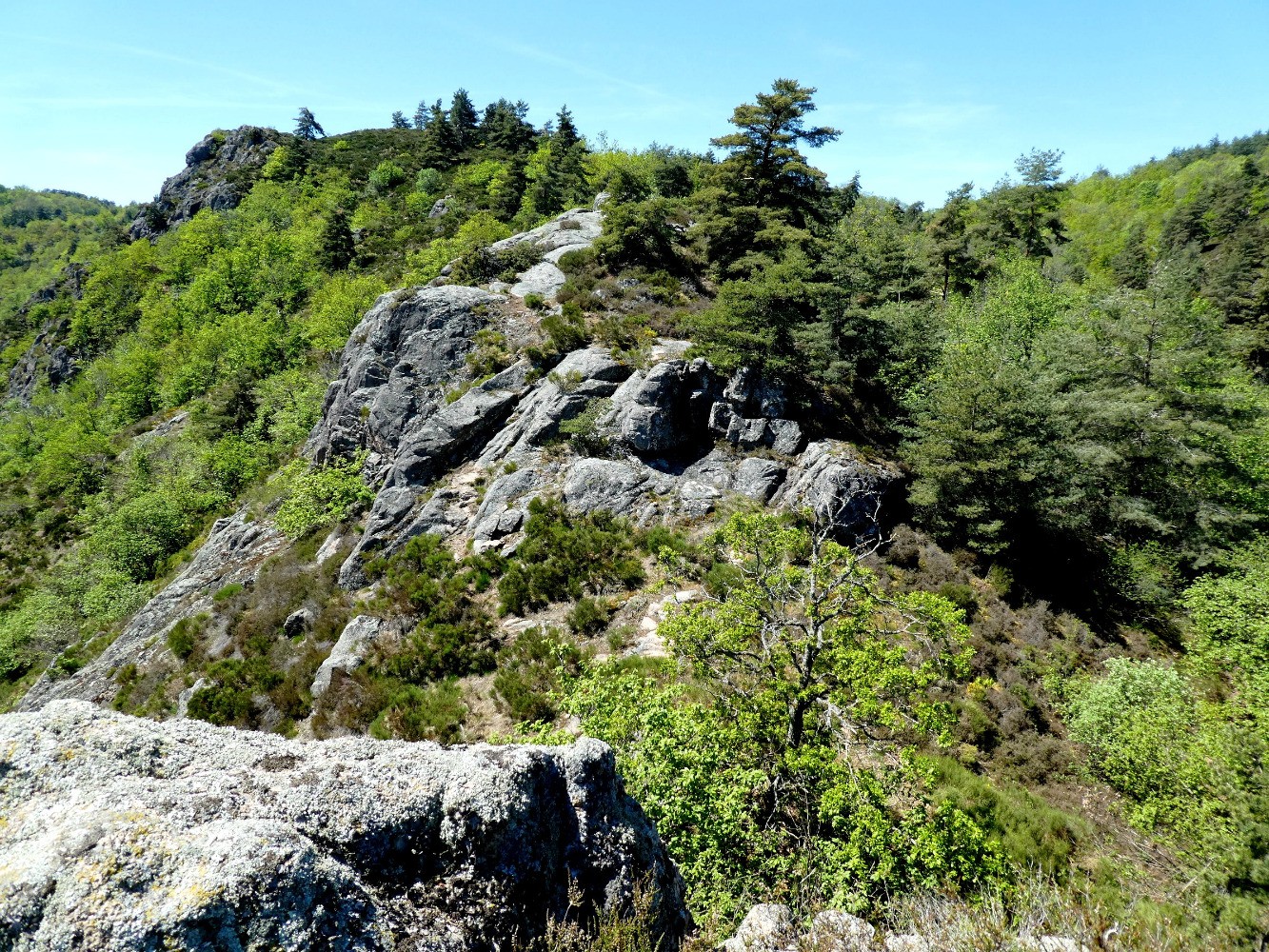 Sur le fil