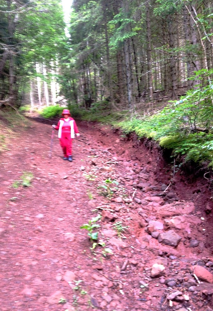 sur le GR Ã  la descente