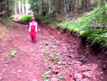 sur le GR Ã  la descente