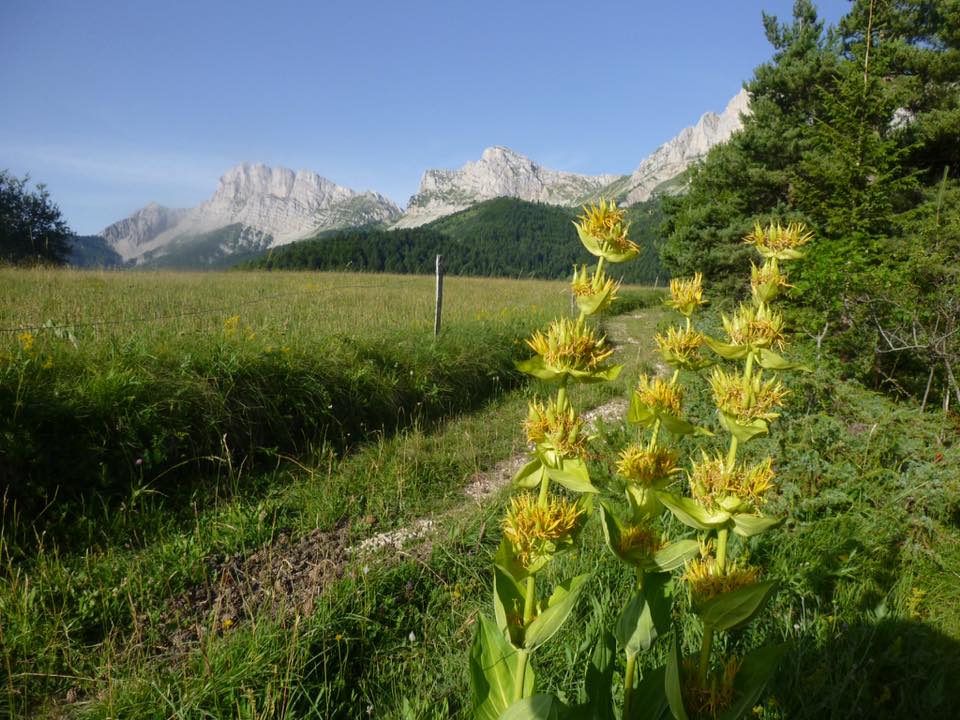 sur le petit sentier du Col des Deux