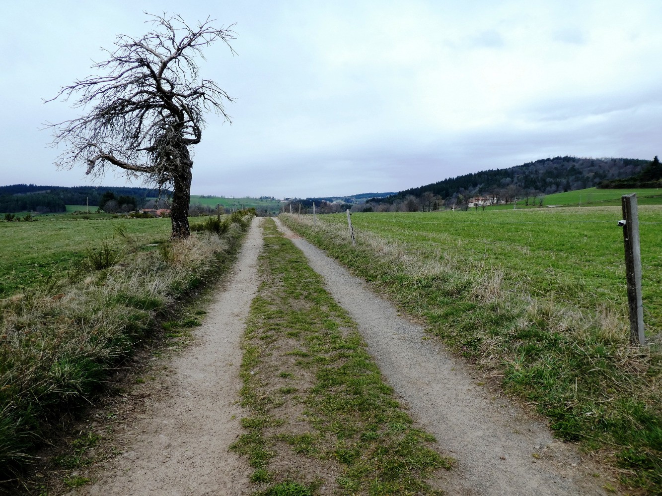sur le plateau en marche vers le nord