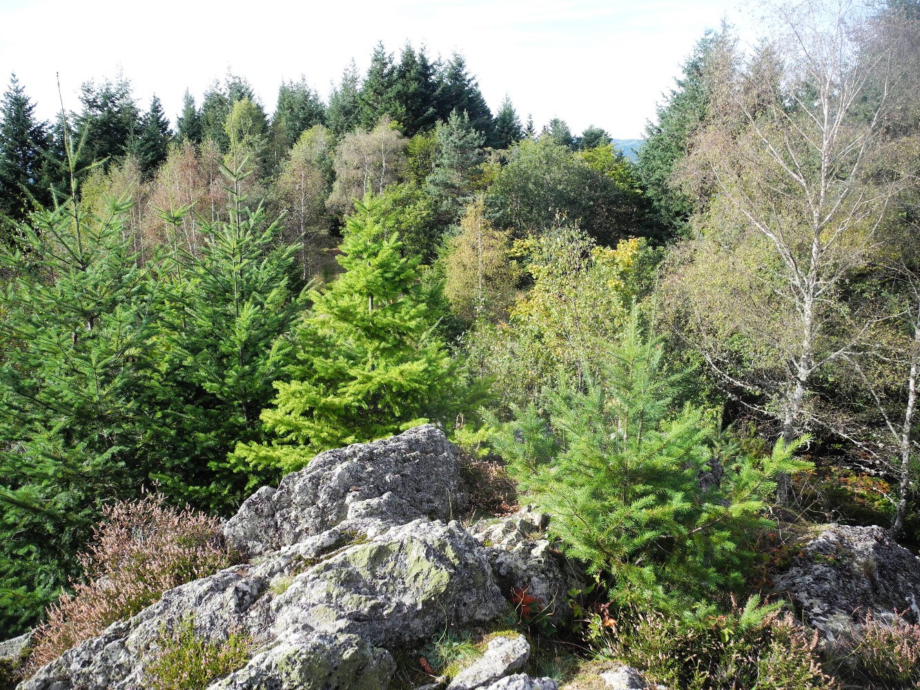 Sur le Roc du Guet