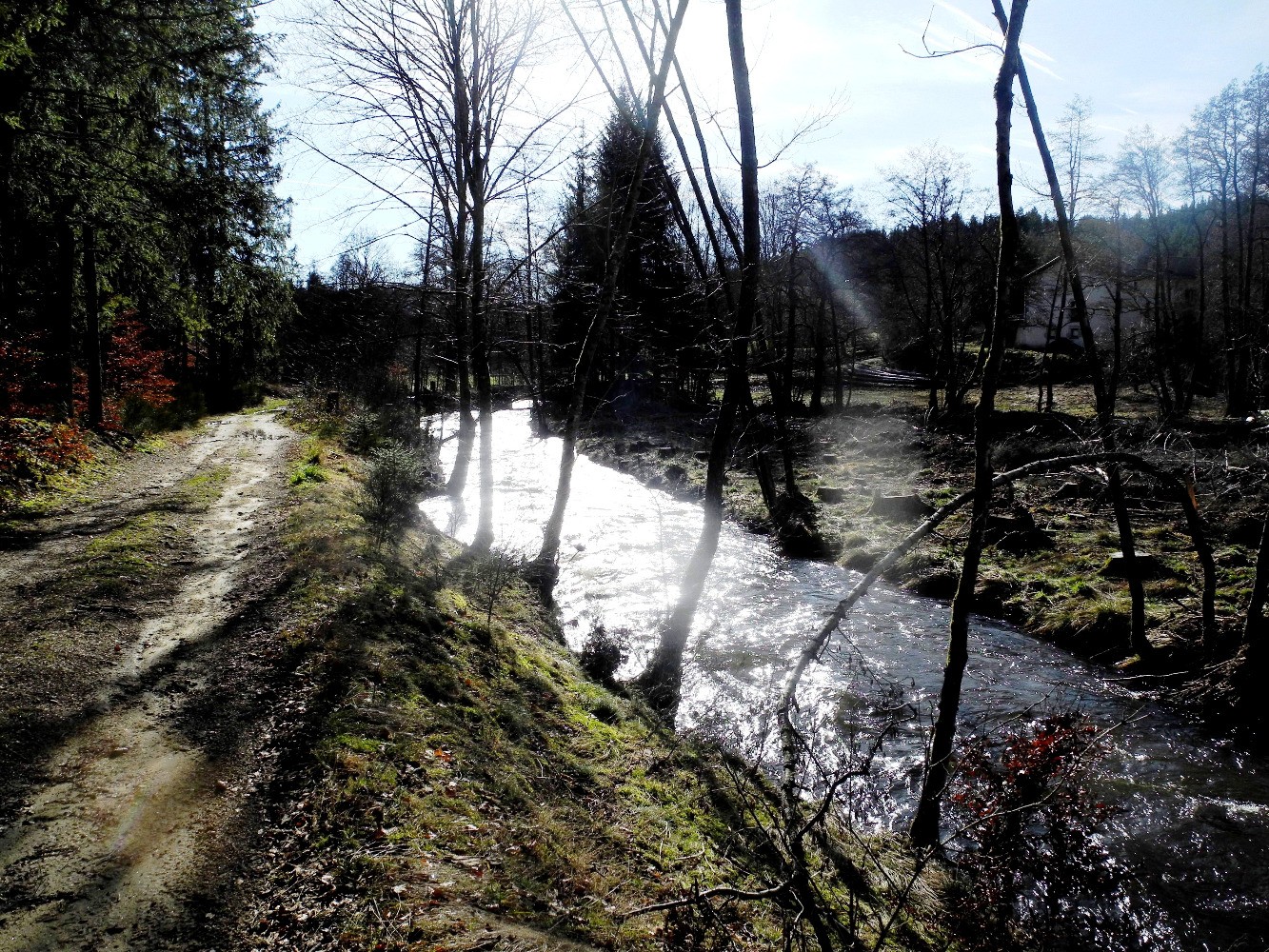 Sur les bords de l'Ance