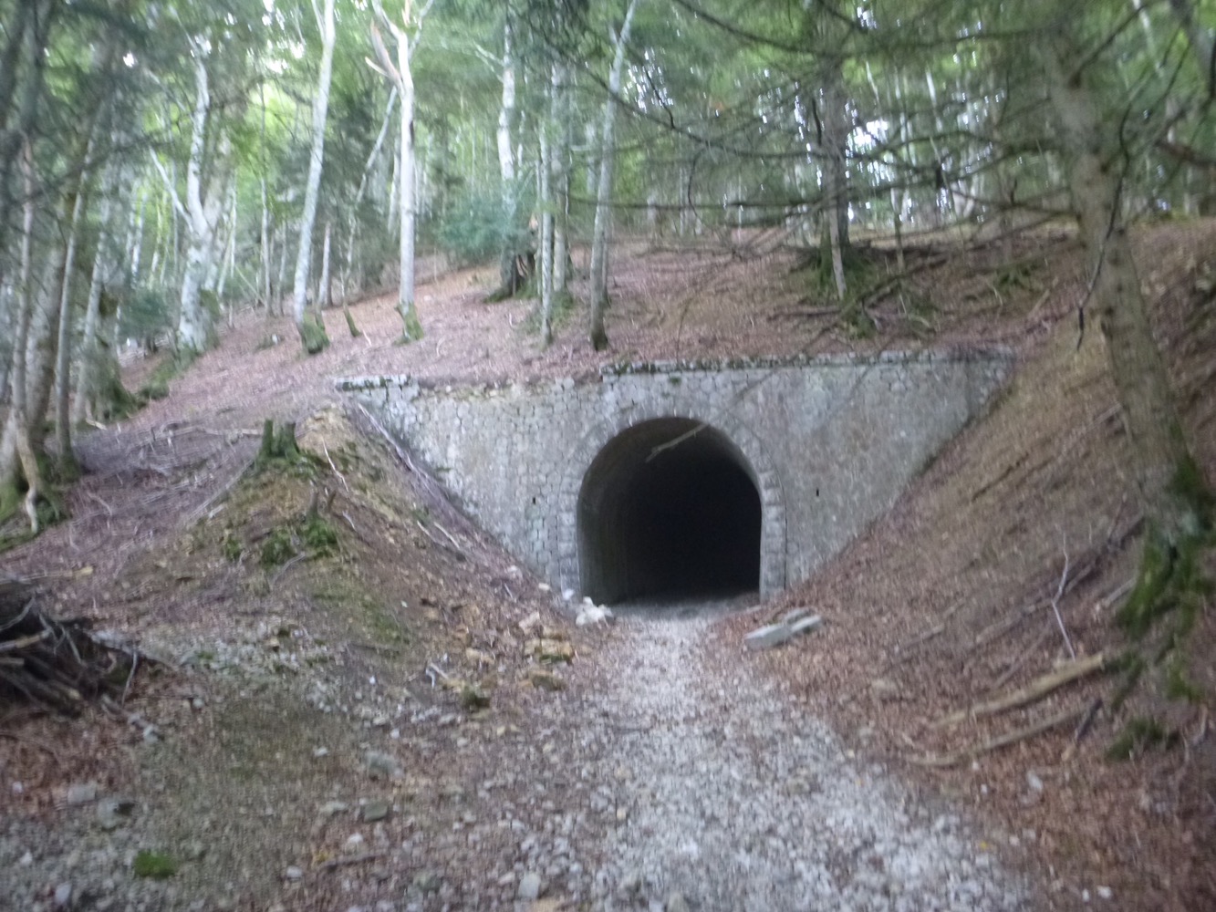 Sur les traces de la crémaillère du Revard