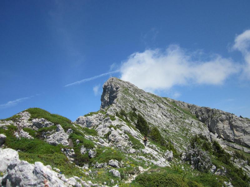 sur l'arête