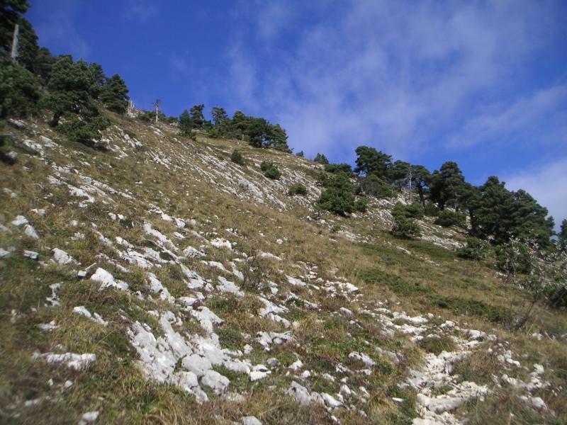 sur l'arête sud