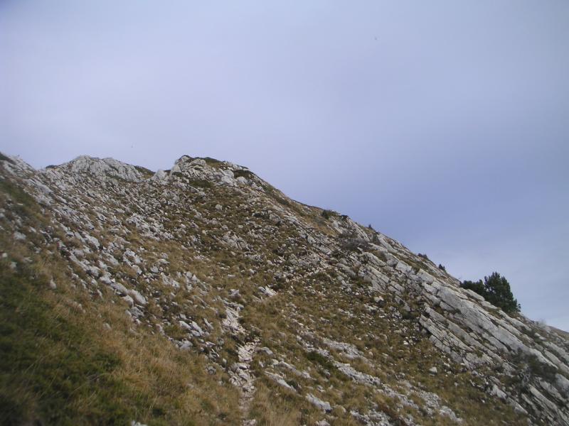 sur l'arête sud