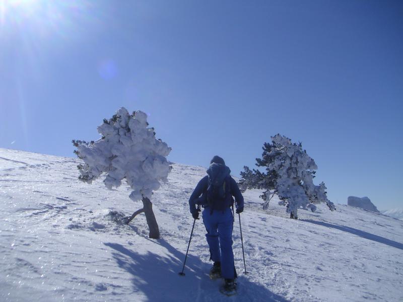 sur la crête
