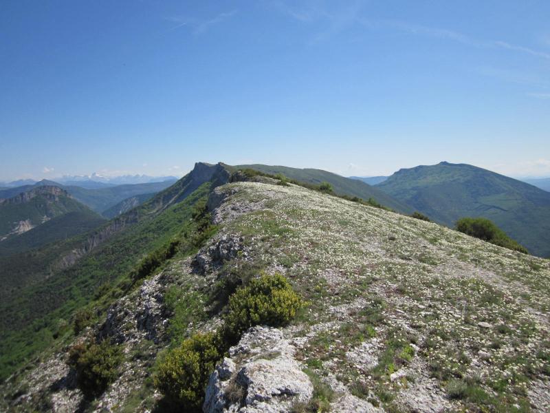 sur la crête