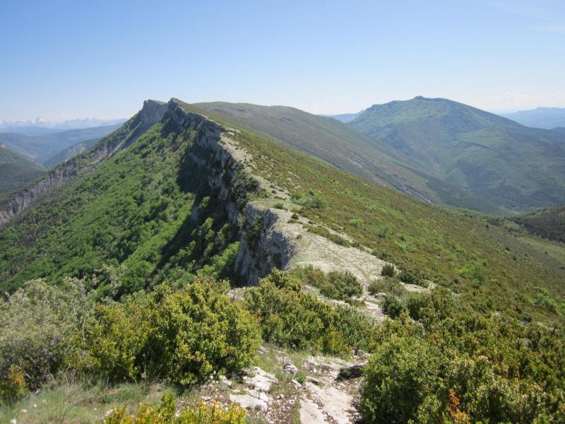 sur la crête