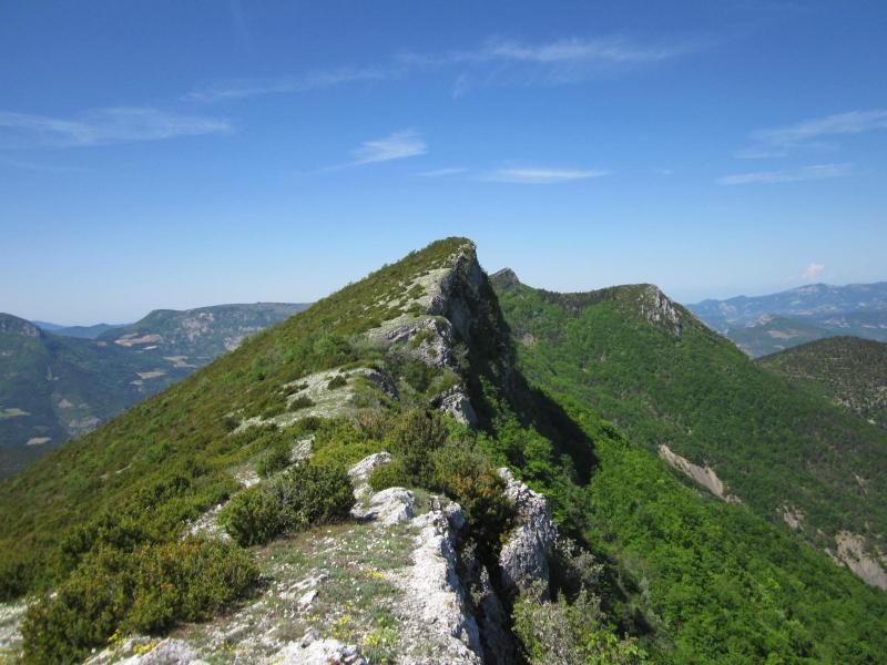 sur la crête