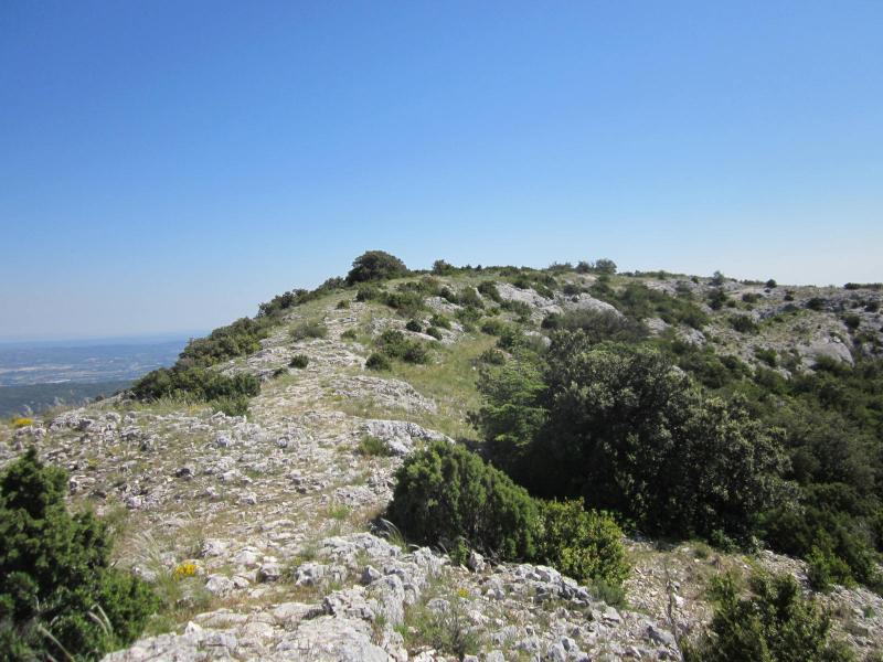 sur la crête