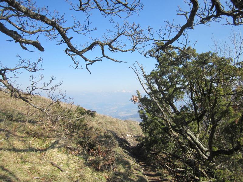 sur la crête