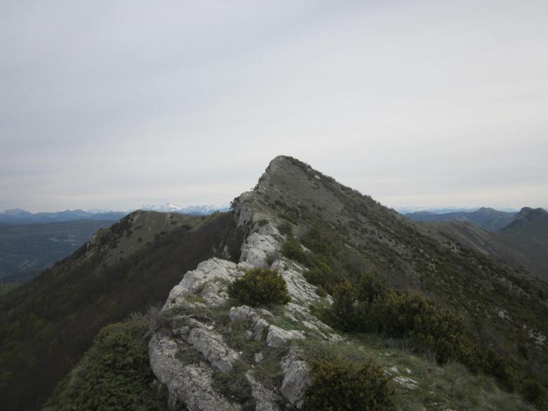 sur la crête