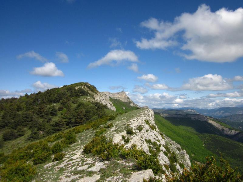 sur la crête