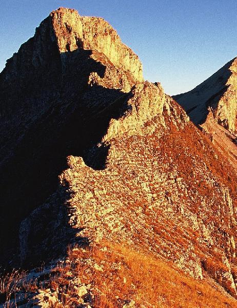 sur la crête, au pied du Nid