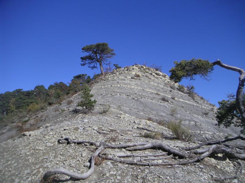 sur la crête de Maroua