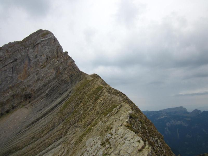 sur le fil