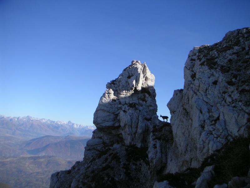 sur les crêtes