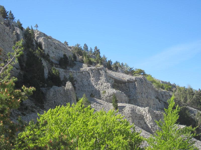 sur les pentes du Ventoux