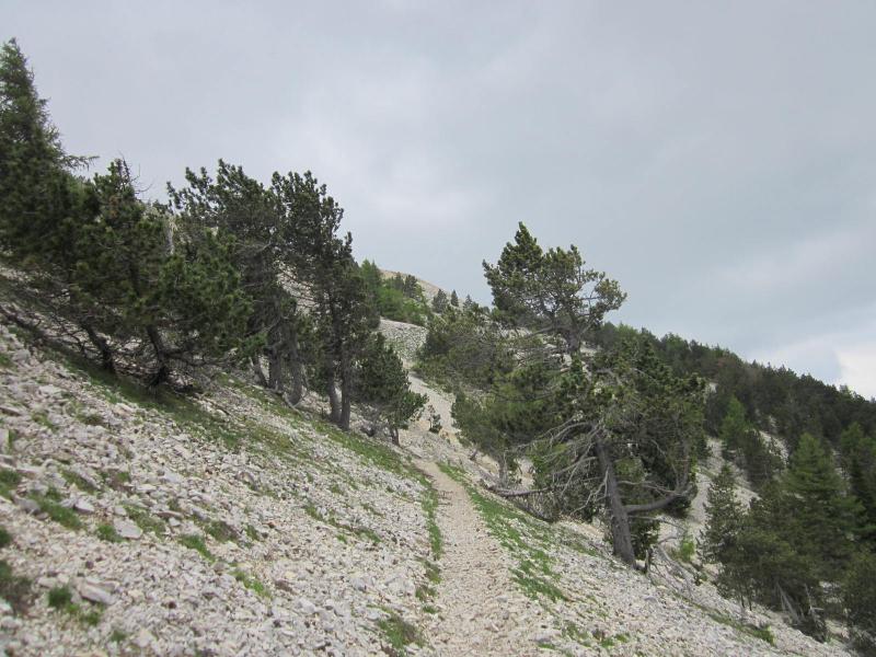sur les pentes du Ventoux