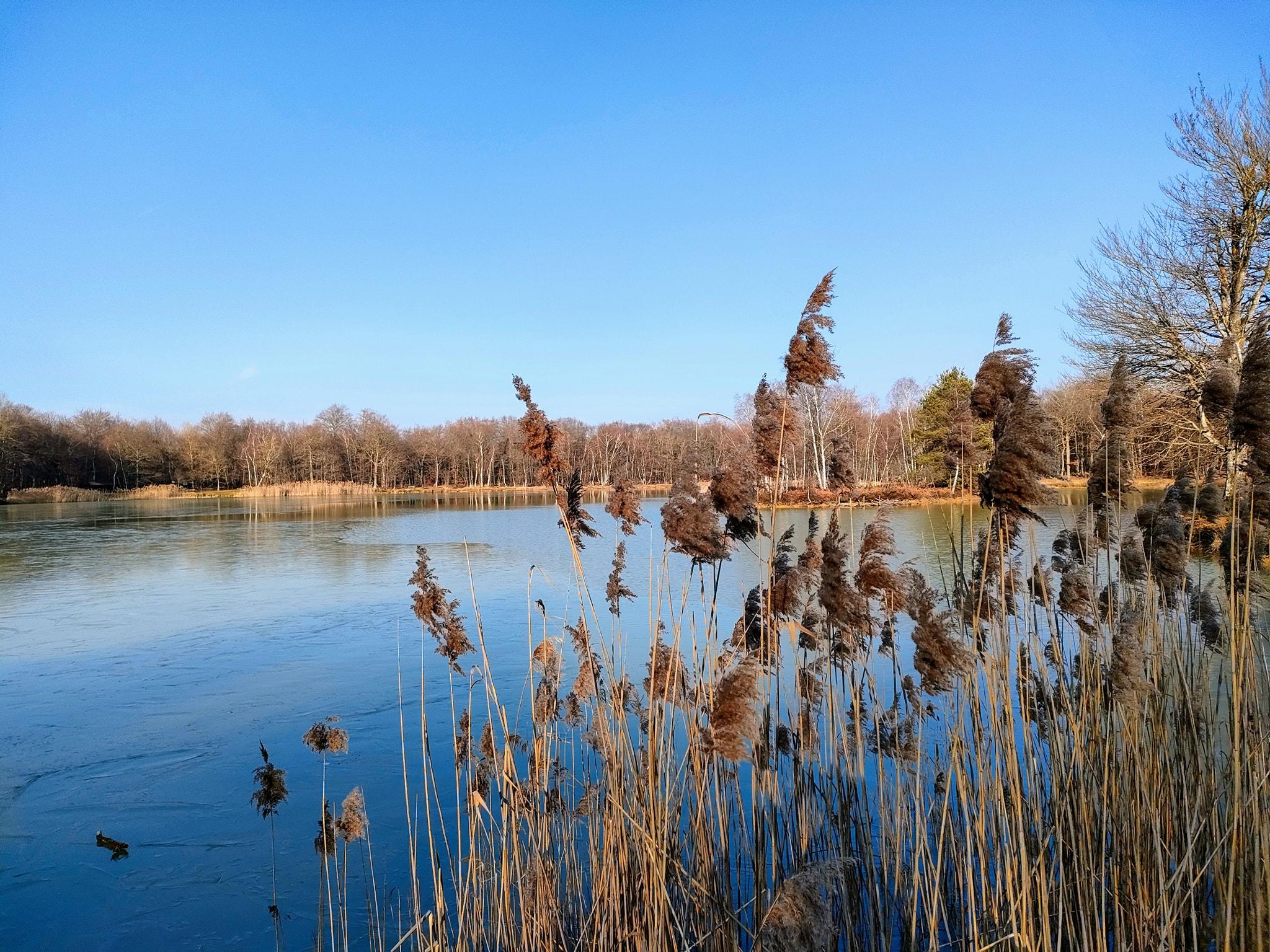 Sur les terres de Berlioz