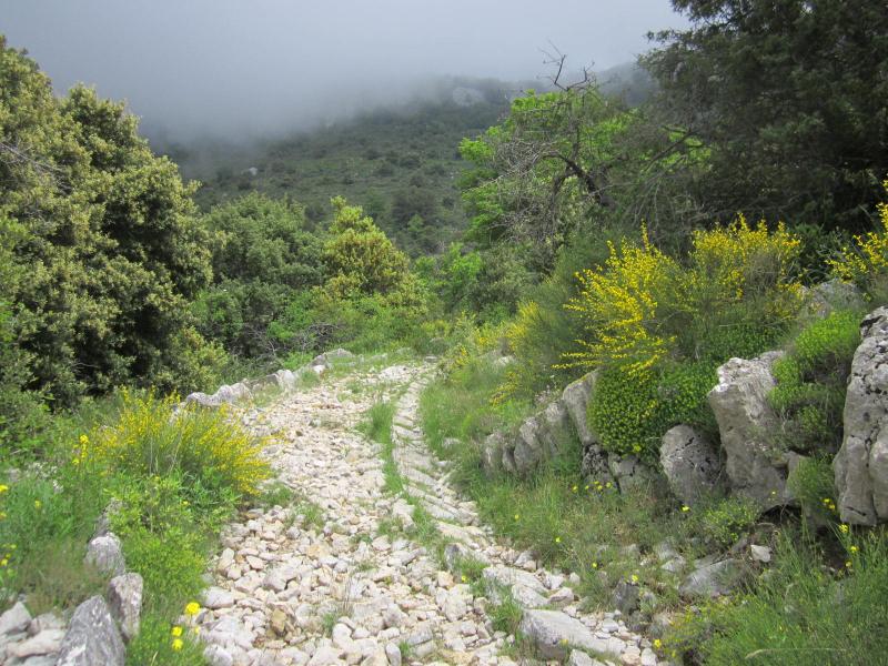 sur sentier dallé