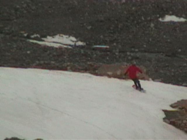 surf