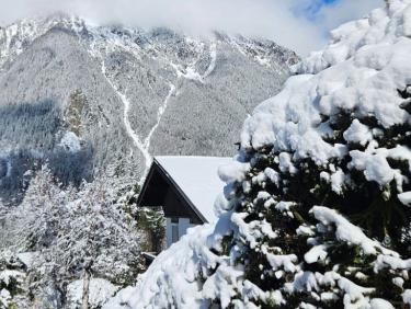 Dans le bois derrière chez moi 😀