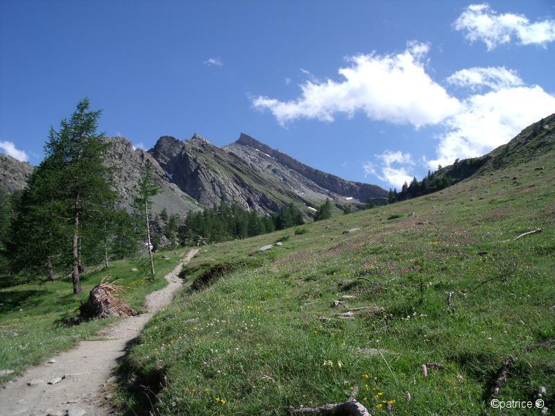 Taillante.