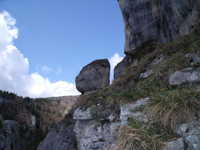 Tête