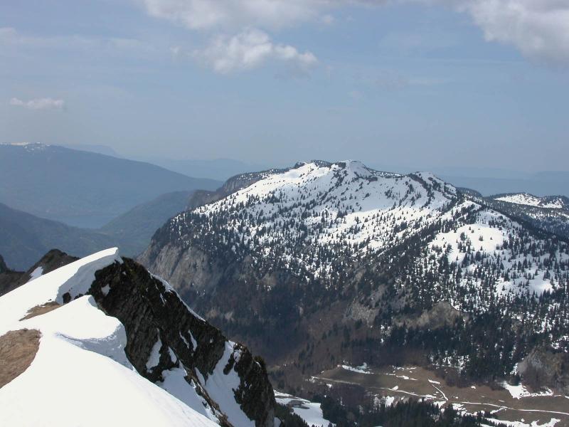 Tête Ronde et Tête Noire