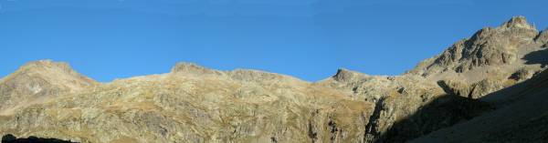 Tete Virante