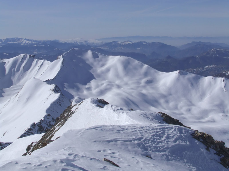 Tête de Chante Perdrix