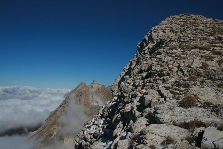Tête de Garnesier