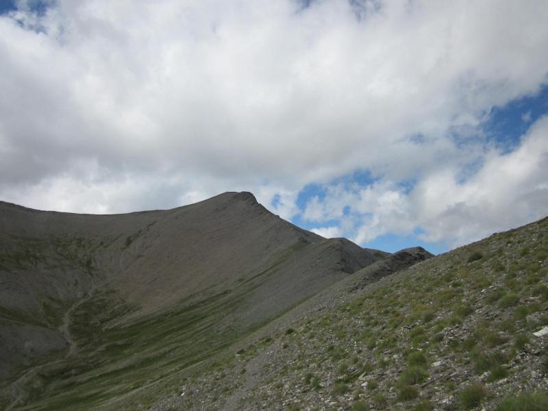 Tête de Rissace