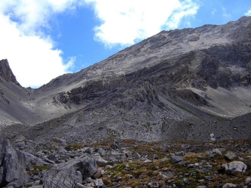 Tête de Sautron